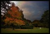 Herbst an der Alster