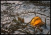 Eimer auf Eis - pail on ice