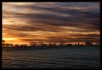 Sonnenaufgang bei Rauhreif - Sunrise on Hoarfrost